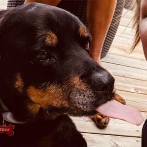 Meet your Posher, Debbie